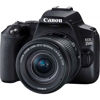 Picture of Canon EOS 250D 18-55 IS STM DSLR Fotoğraf Makinesi - copy