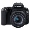 Picture of Canon EOS 250D 18-55 IS STM DSLR Fotoğraf Makinesi - copy