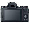 Picture of Canon Powershot G1X Mark III - copy