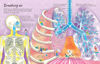 Picture of See Inside Your Body - copy